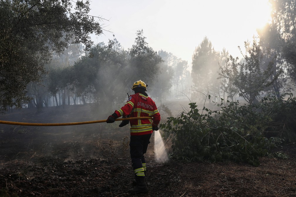 Incêndio florestal atinge a região do distrito de Santarém, em Portugal — Foto: REUTERS/Rodrigo Antunes