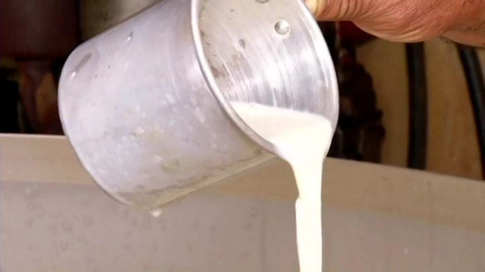 Sistema tem contribuído para melhorar produção leiteira — Foto: Reprodução/TV Rio Sul