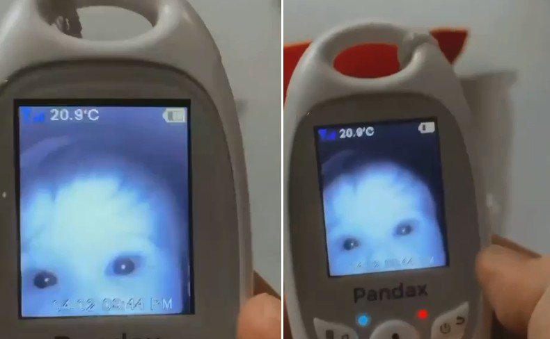 Alice e seus grandes olhos após encontrar a câmera da babá eletrônica (Foto: Reprodução/Instagram)