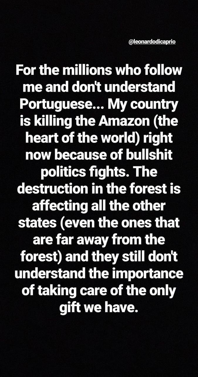 Anitta fala sobre a Amazônia e marca Leonardo DiCaprio (Foto: Reprodução / Instagram)
