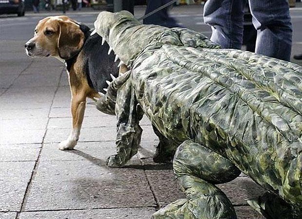 O cachorro foi atacado por um crocodilo? Não, é apenas uma fantasia. As patas traseiras do pet se encaixam na fera de mentira (Foto: Reprodução/Bored Panda)