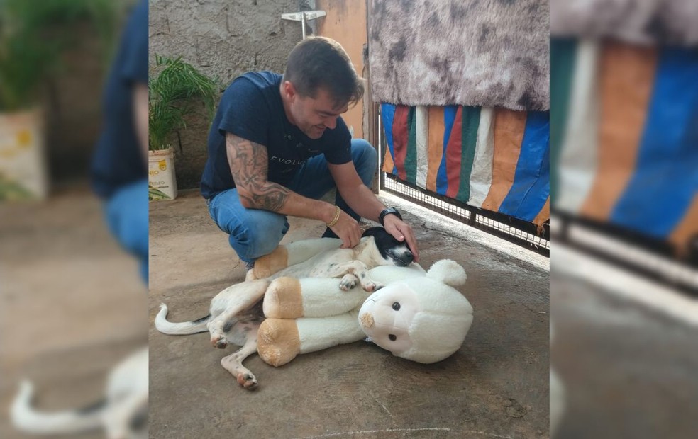 Marcos Alexandre Soler, empresário de Tabatinga, presenteou doguinho com pelúcia — Foto: Mayky Araújo/TV TEM