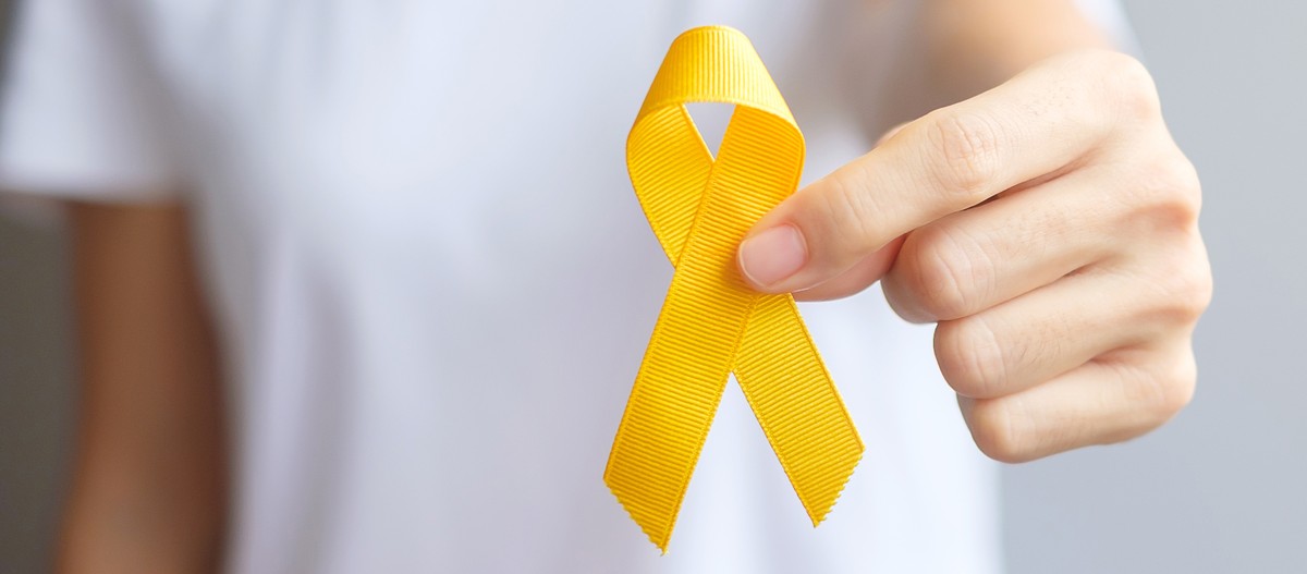 Setembro Amarelo entenda como surgiu a campanha para prevenir suicídios Distrito Federal G1