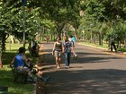 Prefeitura de Ribeirão Preto encerra contratos de limpeza de três parques