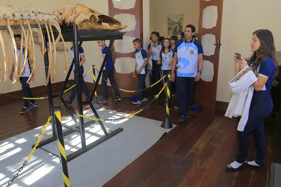 Estudantes visitando sala de exposição no Centro Cultural João Fona, em Santarém. — Foto: Ascom PMS/Divulgação