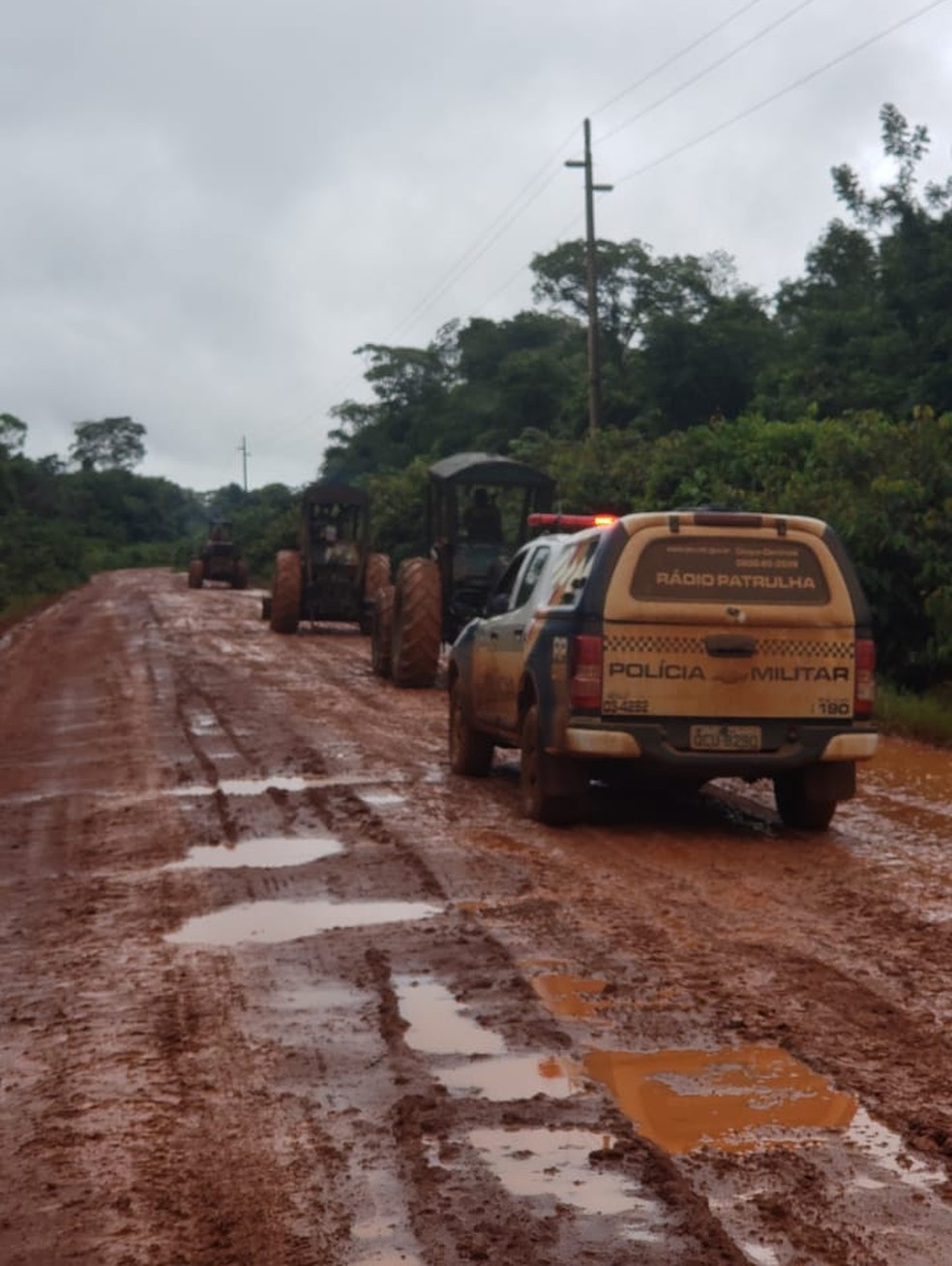 Um grupo de madeireiros foi preso — Foto: Polícia Militar/Divulgação