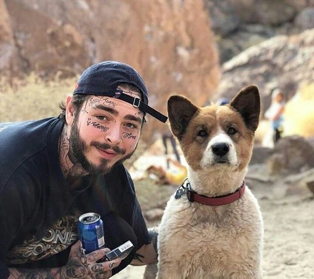 Post Malone é tutor de um cachorro chamado Teddy (Foto: Instagram/@postmalone/Reprodução)