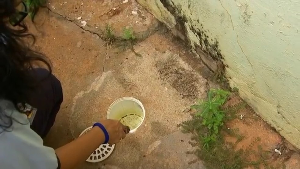 Cuidados com a dengue devem ser redobrados  — Foto: Reprodução/TV TEM/Arquivo