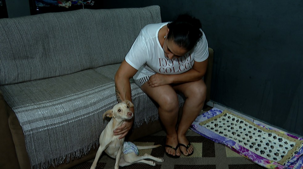 Faxineira resgata cadela deficiente que havia sido abandonada em Jardinópolis (SP) — Foto: José Augusto Júnior/EPTV