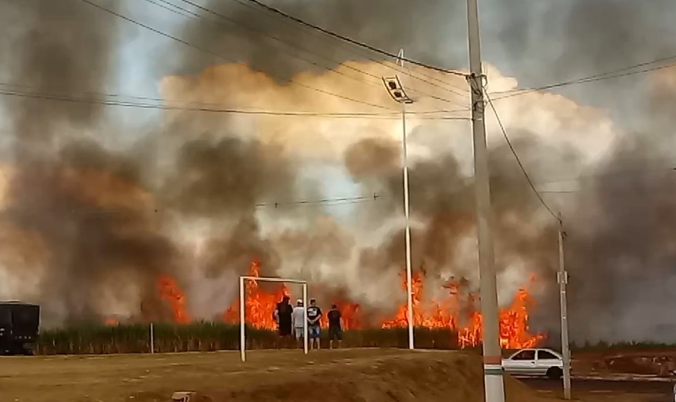 Incêndio atinge canavial em Santa Adélia (SP) — Foto: Giovanna Marangoni