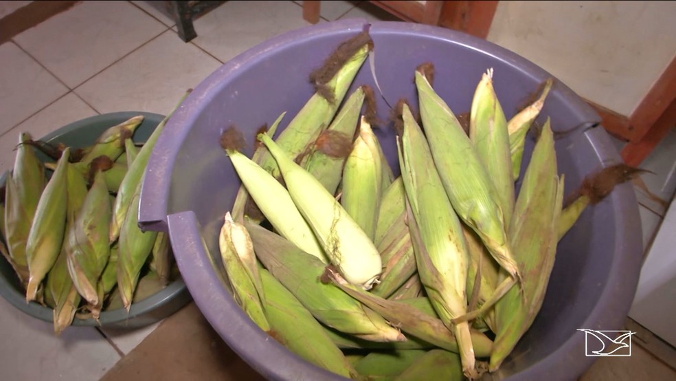 Alunos da escola Profª Maria da Conceição de Oliveira, em Aldeias Altas (MA), comem metade de uma espiga de milho como merenda escolar. (Foto: Reprodução/TV Mirante)