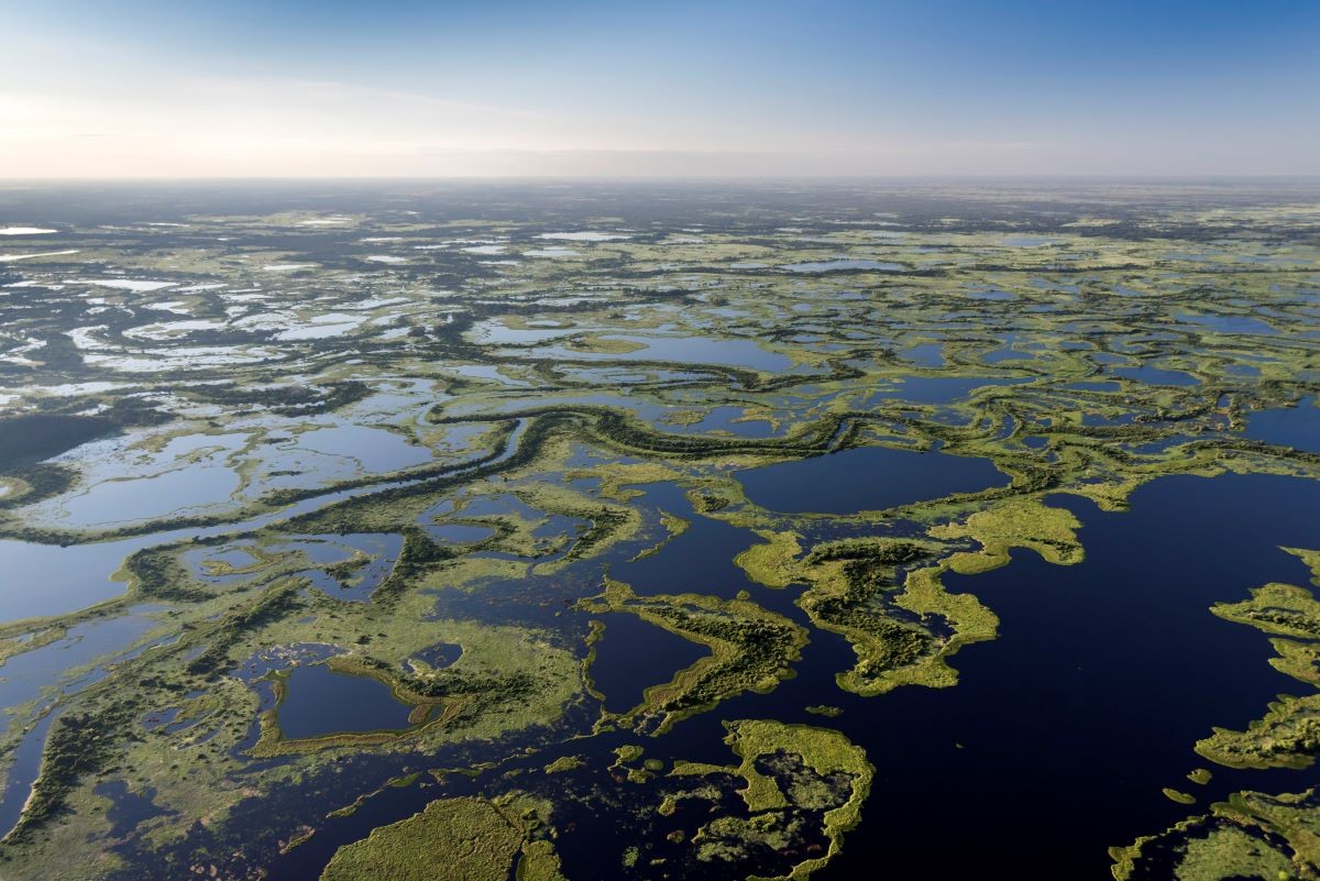 A importância do Pantanal para a preservação da água da América do Sul -  Casa e Jardim | Um Só Planeta