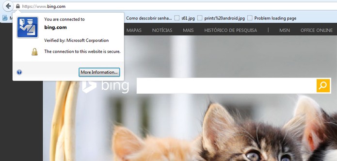 Navega??o segura do Bing no Firefox (Foto: Reprodu??o/Barbara Mannara)