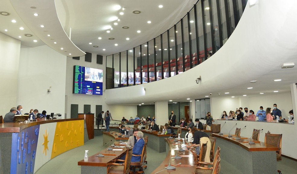 Homens são maioria na AL Tocantins — Foto: Koró Rocha/AL-TO