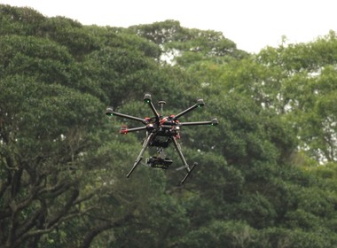 drone-macaco- (Foto: Divulgação)