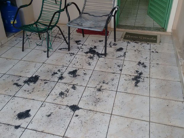 Moradores afirmam que tiveram que lavar os quintais na manhã desta quarta (22) (Foto: Sérgui Luiz dos Santos/Cedida)