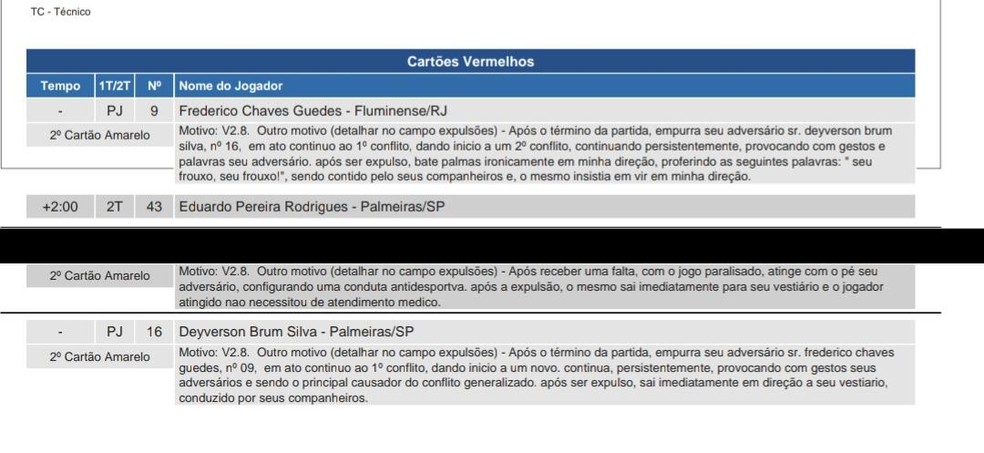 Árbitro de Fluminense x Palmeiras justifica expulsões — Foto: Reprodução