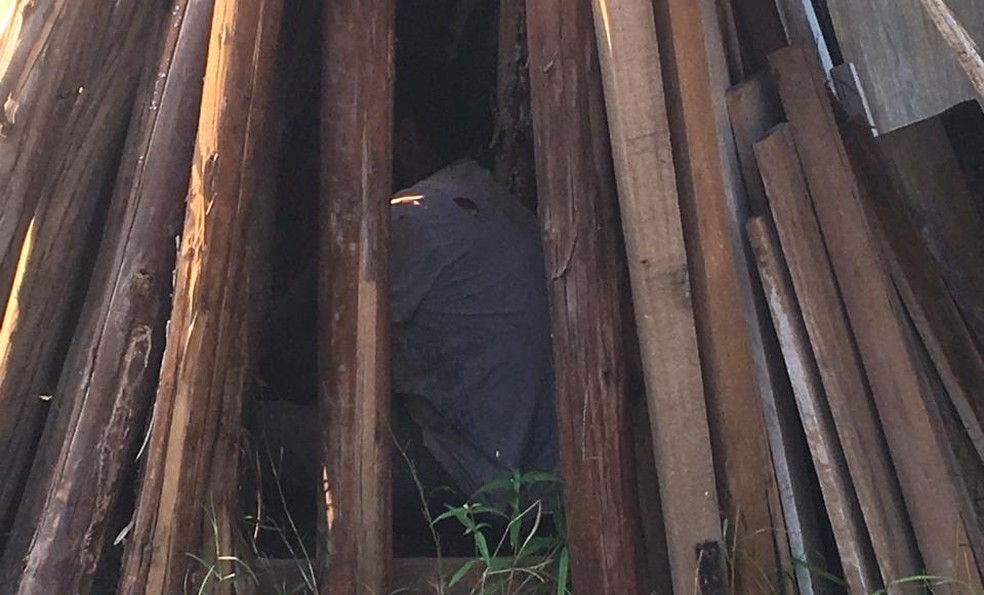 Suspeito de participar de ataques a bancos estava escondido dentro de barraca de madeira em Guararema e foi achado na quinta-feira — Foto: Fabrício/Polícia Civil
