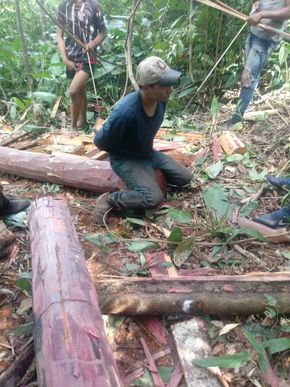 Índios prenderam um homem que foi flagrado com motosserra tirando madeira da Terra Indígena (TI) Urubu Branco no município de Confresa — Foto: Divulgação