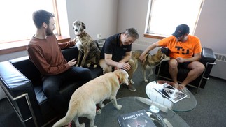 Funcionários da Tungsten Collaborative, em Ottawa, durante reunião. Os pets podem permanecer na empresa durfante horário do trabalho AFP