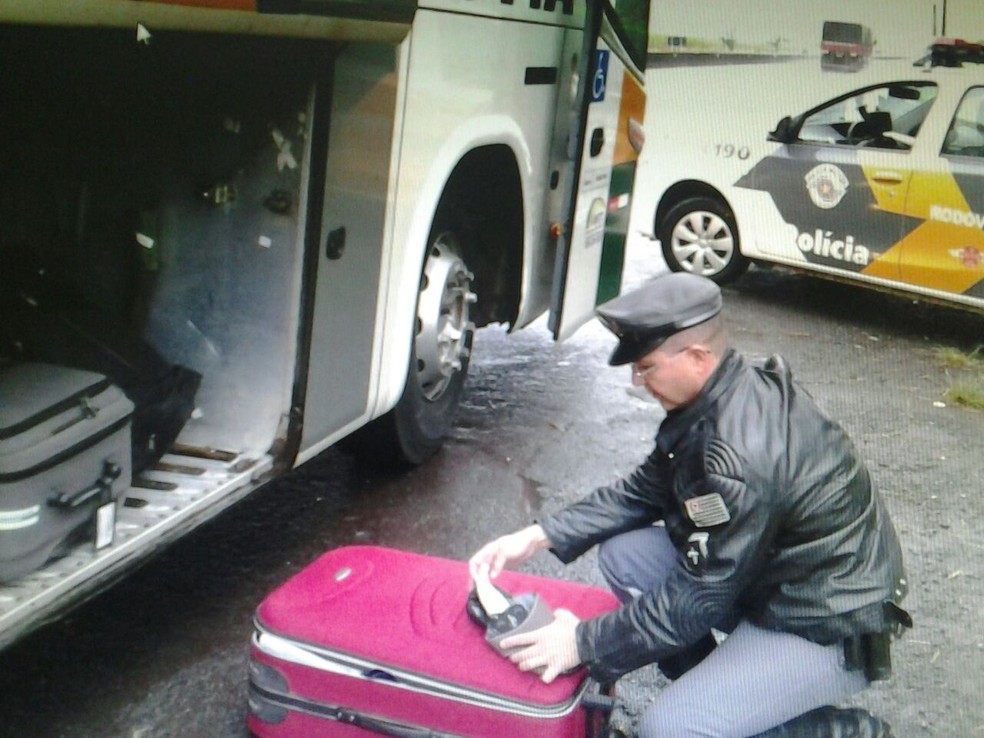 Chinelos estavam em mala de passageiro (Foto: Polícia Rodoviária/Divulgação)