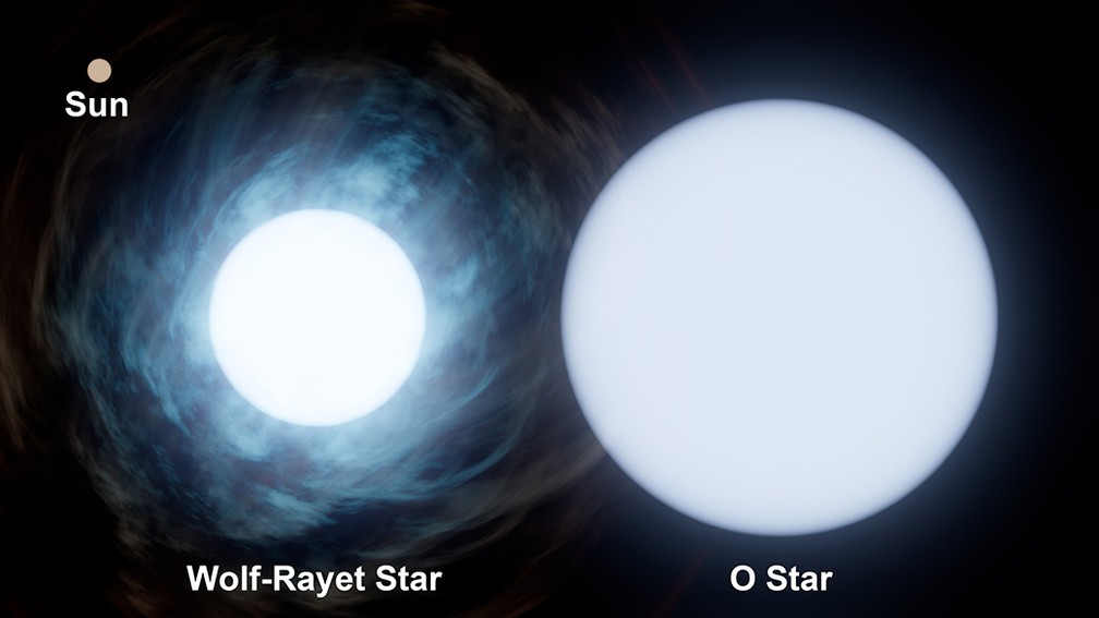 Uma ilustração mostra as duas estrelas em comparação com o nosso Sol. — Foto: Nasa/Divulgação