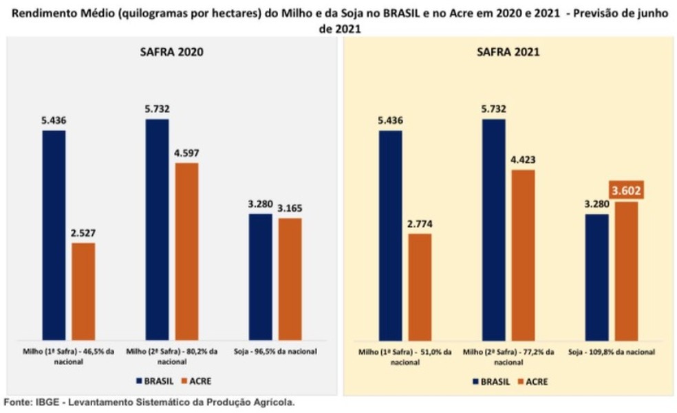 Dados divulgados pelo IBGE mostra que o rendimento médio de soja em 2021 será maior que do país — Foto: Reprodução