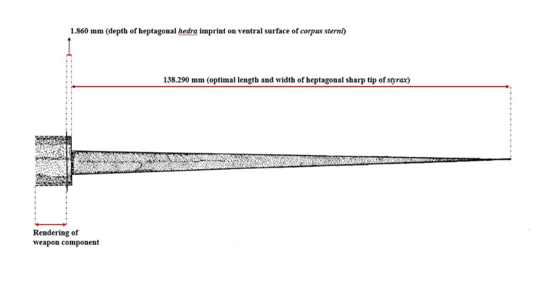 Desenho da lança que matou o homem (Foto: Anagnostis Agelarakis)