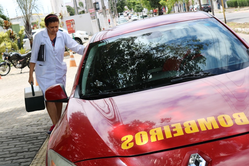 Equipe vai às residências das mães cadastradas pegar o leite coletado  — Foto: Divulgação 