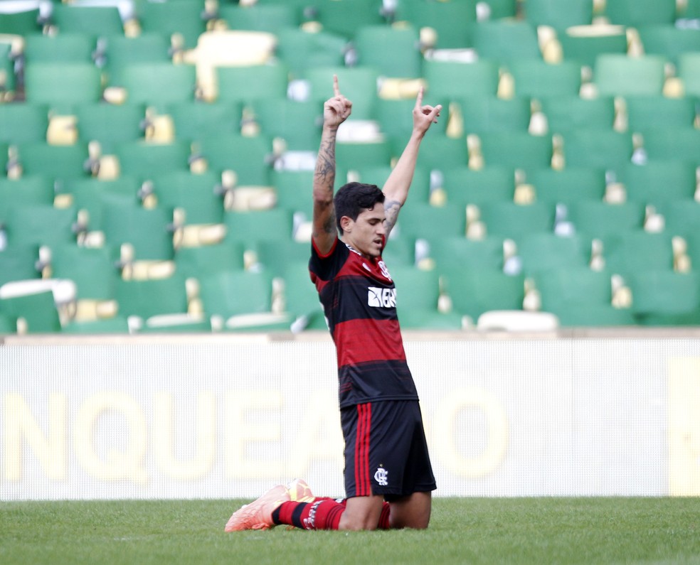 Pedro comemora seu gol pelo Flamengo — Foto: André Durão