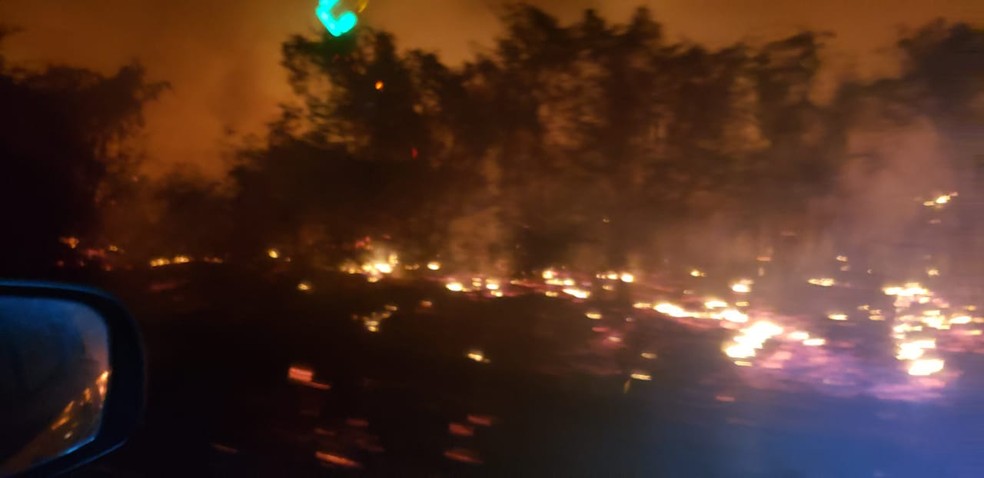 Fogo às margens da BR-158, em Três Lagoas — Foto: Corpo de Bombeiros/Divulgação