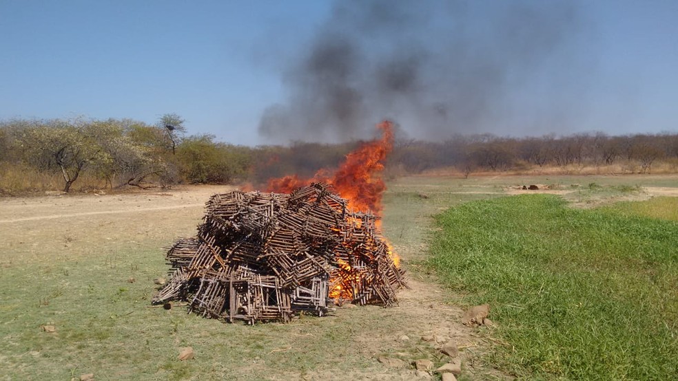Arapucas encontradas foram incineradas pelo Ibama &mdash; Foto: N&uacute;cleo de Fiscaliza&ccedil;&atilde;o/Ibama-PB/Divulga&ccedil;&atilde;o