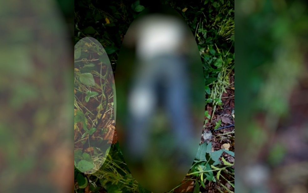 Idoso morre após levar choque em plantação de soja em Paraúna  — Foto: Divulgação/Polícia Militar