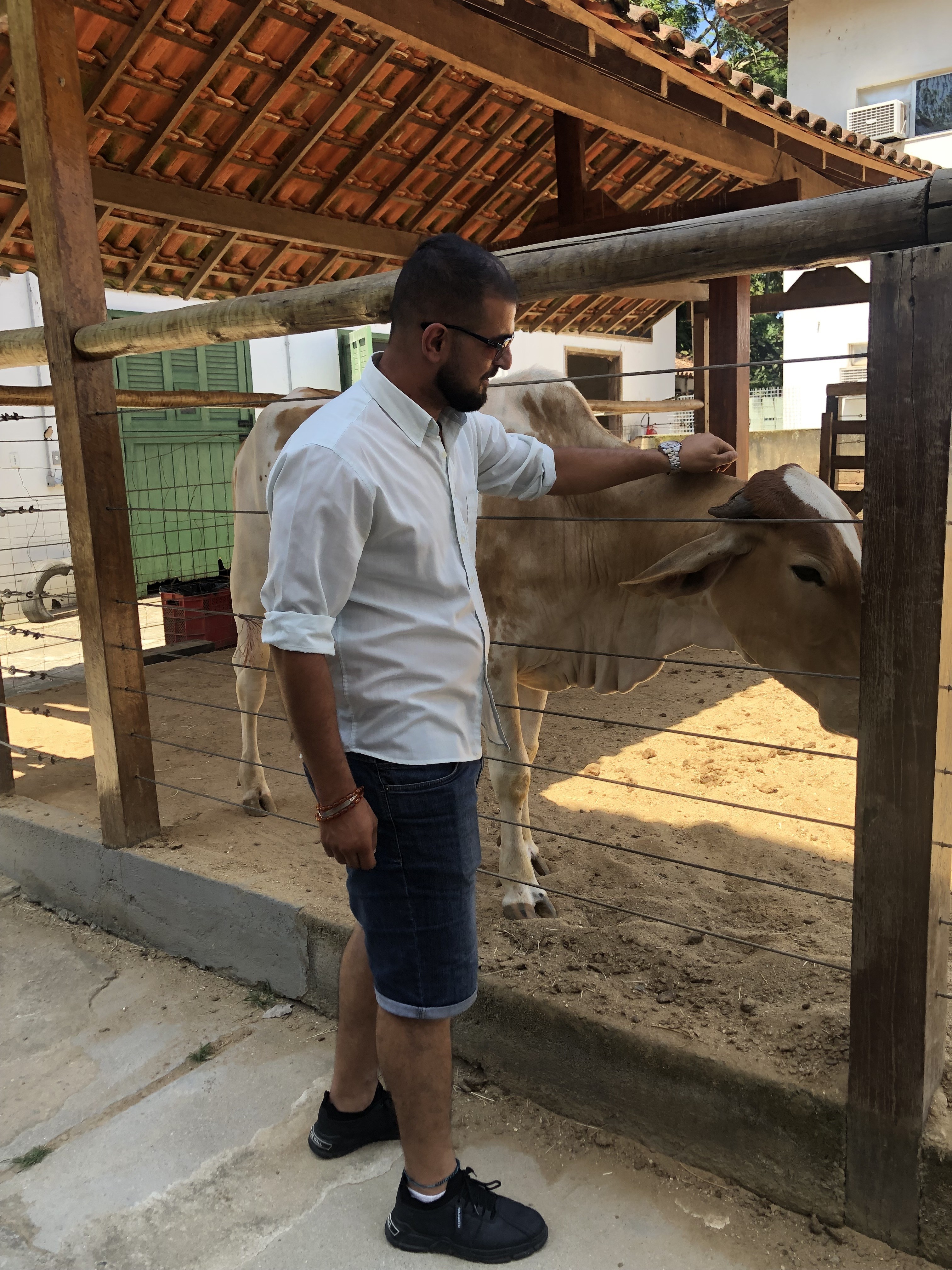 Refugiado sírio recomeça curso de veterinária no Rio: 'Vou fazer uma coisa que me encanta'