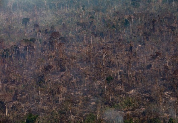 desmatamento na amazônia, foco de incêndio na amazônia, queimadas (Foto: Victor Moriyama/Getty Images)