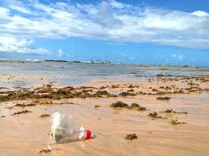 Garrafa PET possui plásticos de variações diferentes que permanecem há anos na natureza  (Foto: Waldson Costa / G1)