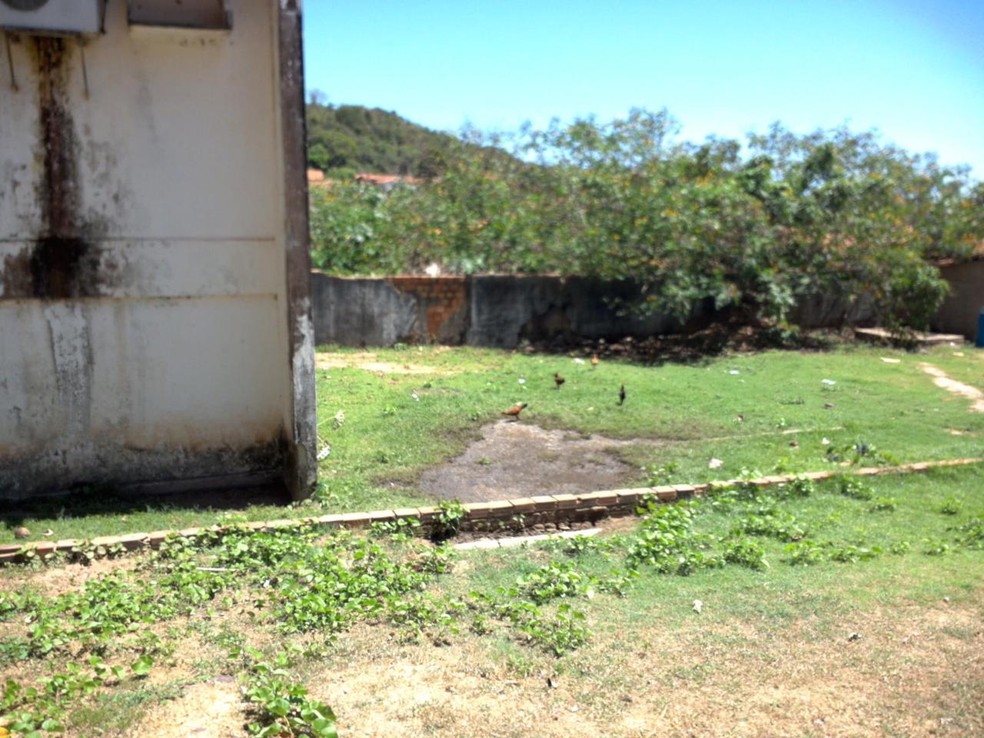 CRM encontra galinhas ciscando pela área externa de hospital no Piauí — Foto: CRM