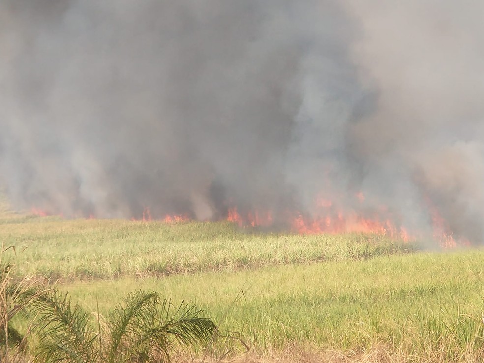Incêndio atingiu uma área de vegetação entre Jaú e Bocaina — Foto: Defesa Civil de Bocaina /Divulgação