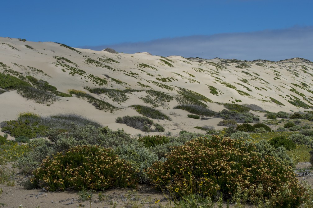  (Foto: Martin Bernetti/AFP)