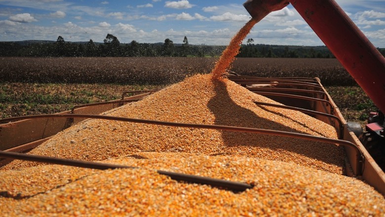 agricultura_milho_ (Foto: Ernesto de Souza/Ed. Globo)