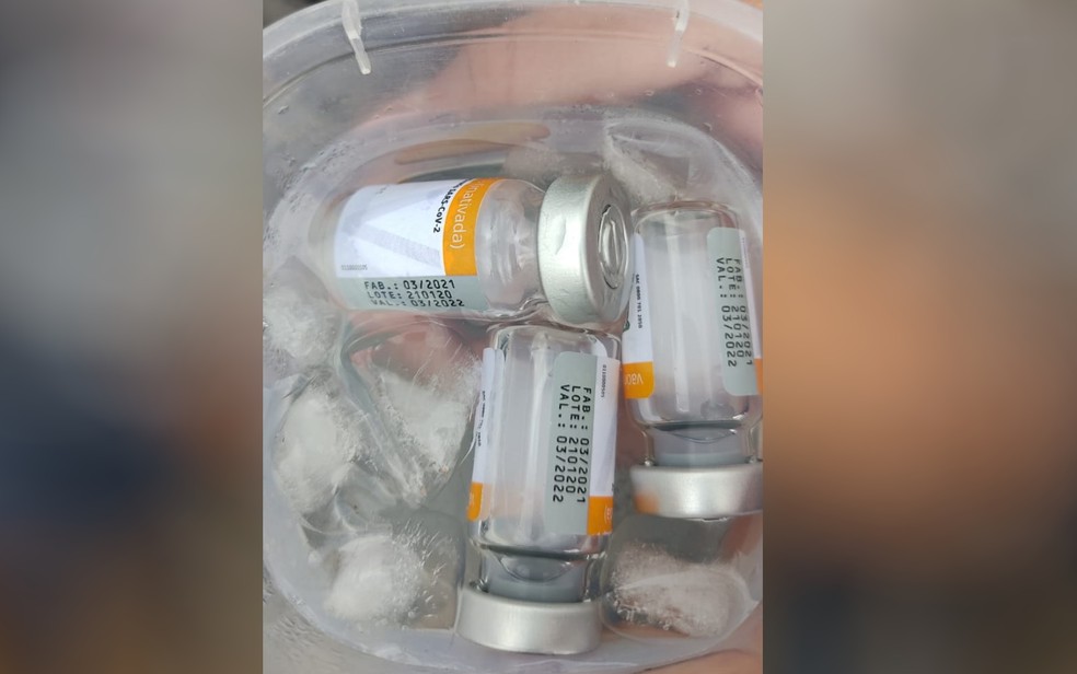 Técnico é denunciado por furtar doses de vacina contra Covid-19 em Goiânia  e vendê-las na porta de supermercado | Goiás | G1