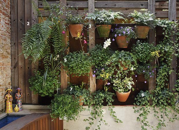 Plantas: as top 50 - Casa e Jardim | Jardim