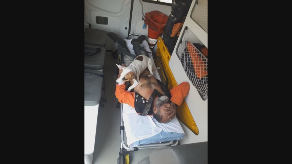 Cachorro que não abandonou dono atropelado no DF é levado em ambulância do Samu — Foto: Arquivo pessoal