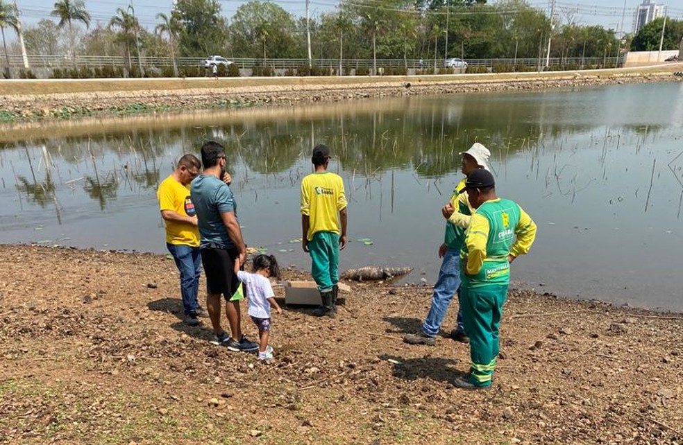 Dema vai investigar o caso — Foto: Divulgação