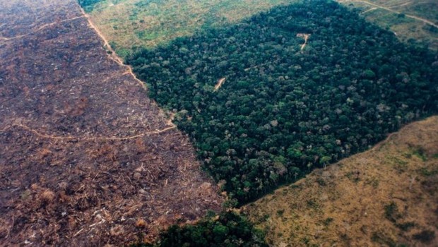 BBC - O desmatamento aumentou substancialmente na floresta (Foto: Getty Images via BBC)