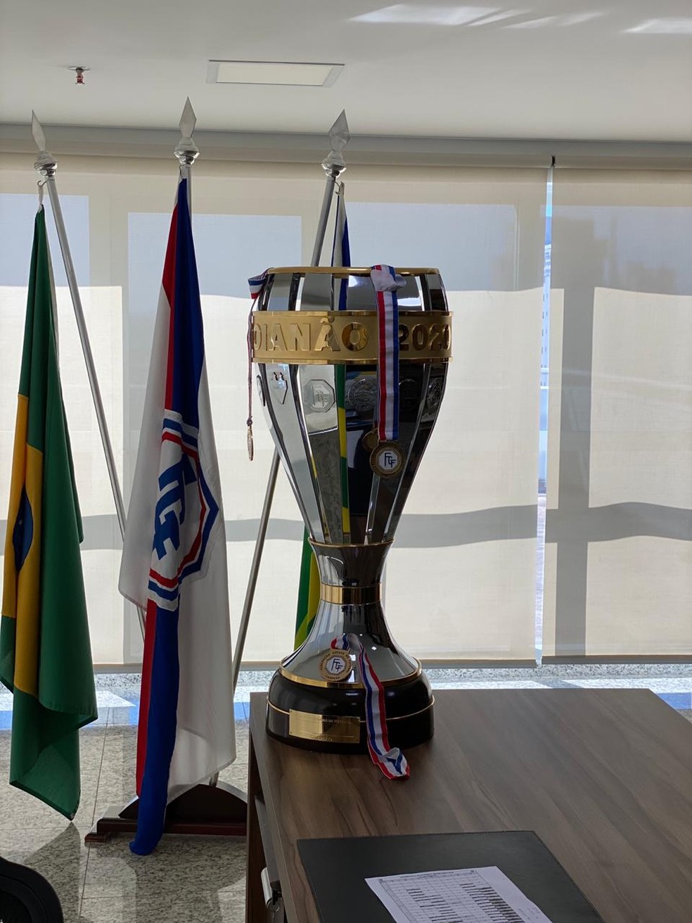 Taça de campeão goiano de 2020, que só será conhecido em 2021 — Foto: FGF
