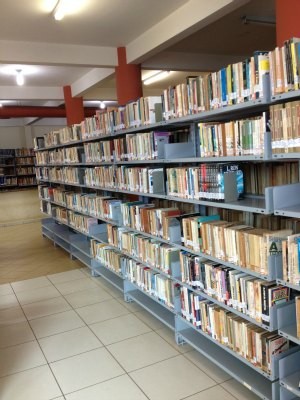 G1 - Biblioteca de Porto Velho tem sugestão de leitura para as férias ...