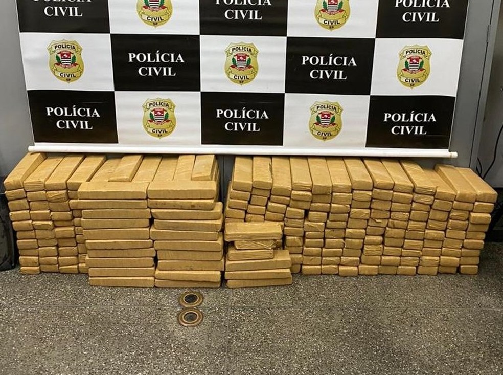 Mais de 250 tabletes de maconha são apreendidos em Presidente Prudente — Foto: Polícia Civil 