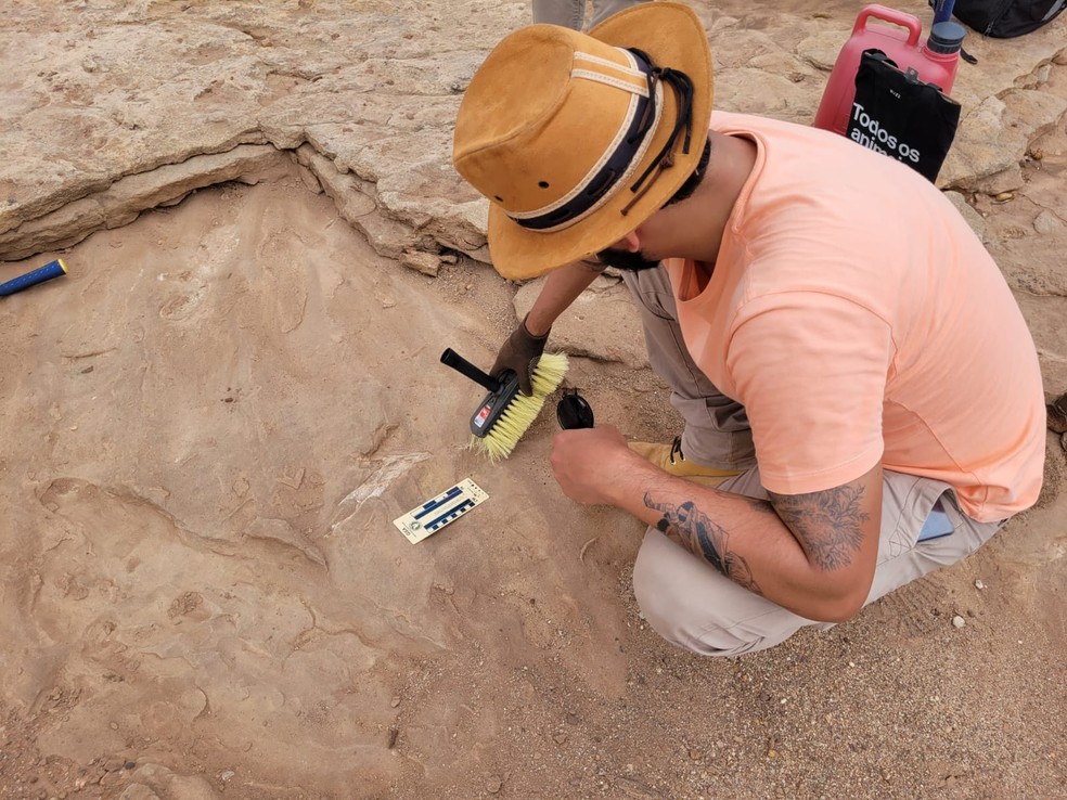 Pesquisadores da UPFE buscam novos ossos para identificar a espécie de dinossauro mais antigo encontrado no Nordeste — Foto: Cortesia