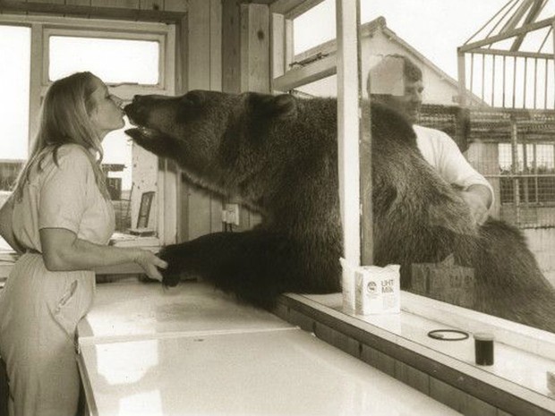 Carinhos e brincadeiras eram comuns entre o animal e seus donos (Foto: BBC/Hercules the Bear A Gentle Giant in the Family I Maggie Robin)